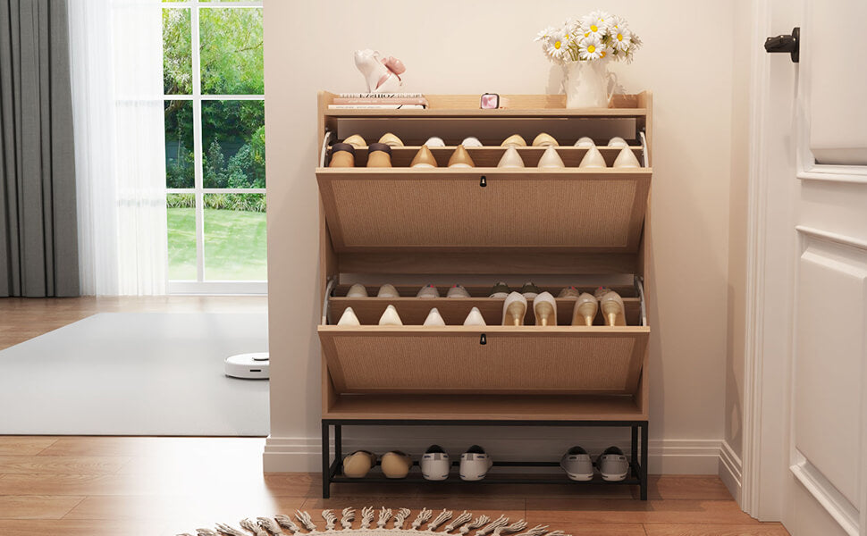 2 door shoe cabinet image1